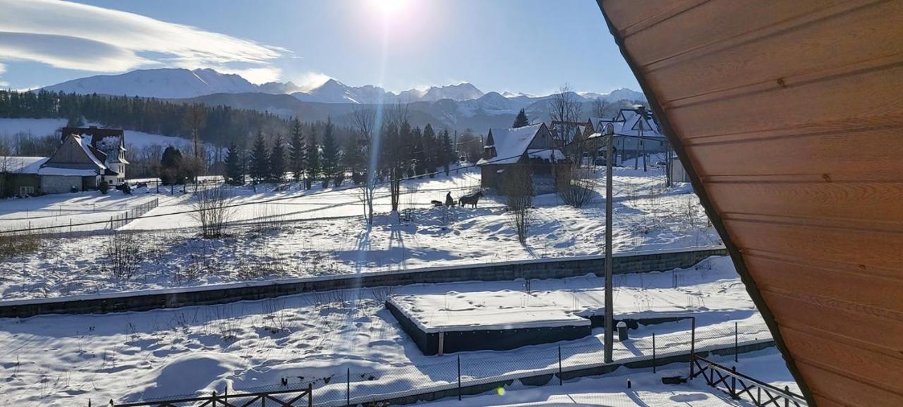 Willa Siklawa Zakopane Dış mekan fotoğraf